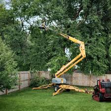 Best Lawn Mowing  in Kingston Springs, TN