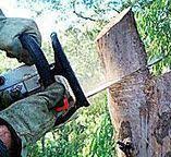 Best Utility Line Clearance  in Kingston Springs, TN