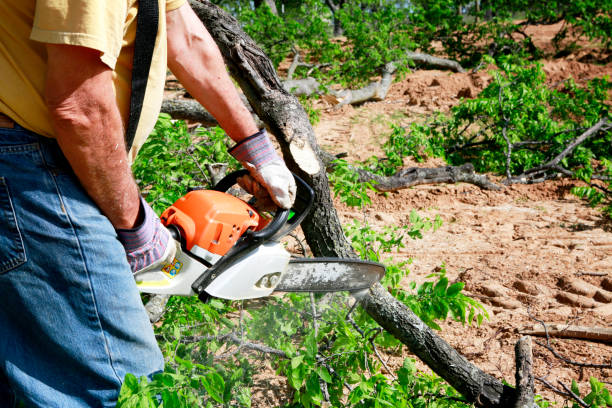 Best Leaf Removal  in Kingston Springs, TN